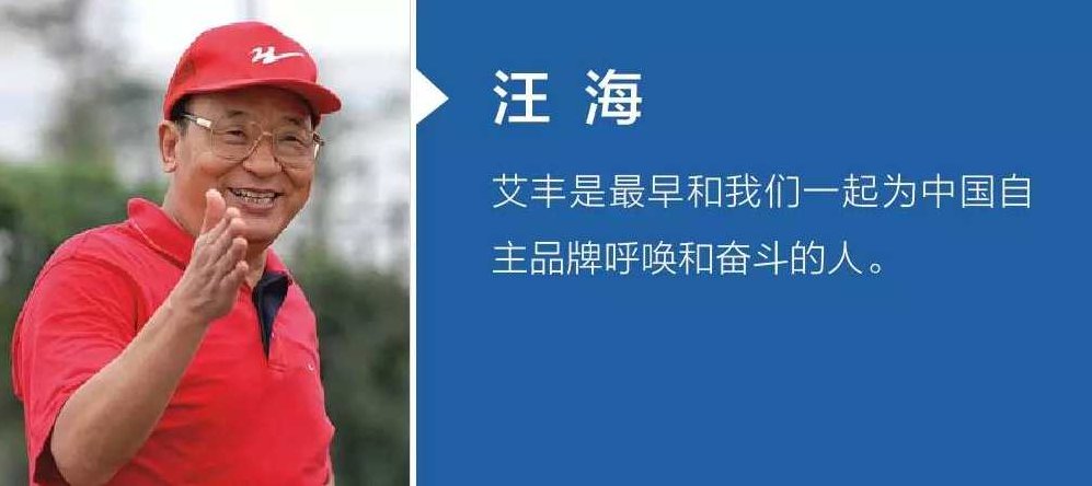 艾丰 品牌管理与名牌战略,基础,设计,第1张