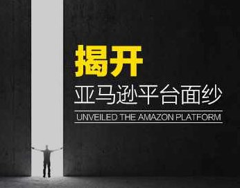 【境外电商】揭开亚马逊平台面纱,课程,背景,第1张