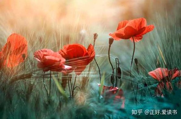 【读书讲座】幸福的陷阱,讲座,故事,思维,第1张