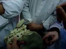 真人解剖班视频_全部真人演示的基础解剖学视频_法医解剖视频,视频,研究,基础,第1张