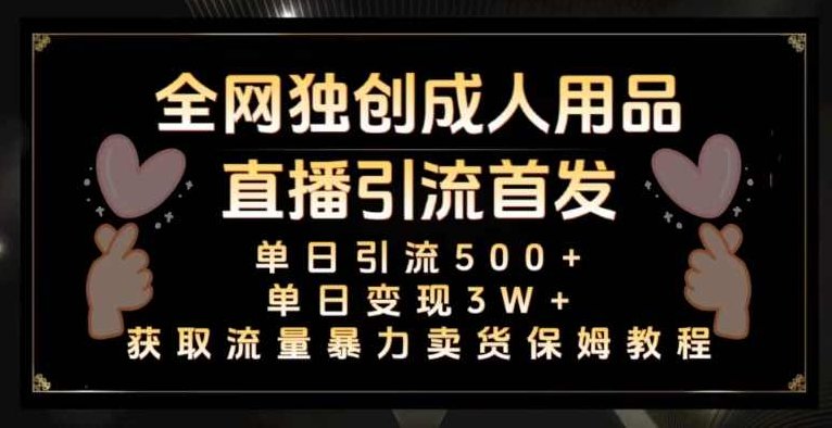 全网独创真人主播+无人直播单日引流500+，橙人用品暴力卖货单日变现3W+保姆似教学2.0【揭秘】,课程,基础,教学,第1张