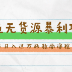 斜杠蜻蜓·闲鱼无货源暴利项目教学课程(v1-v5班),课程,第1张 斜杠蜻蜓·闲鱼无货源暴利项目教学课程(v1-v5班),课程,第1张