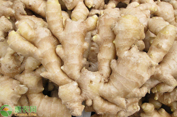 姜汝祥 有效提升销售12大黄金法则之绩效管理,销售,宝典,策略,第1张