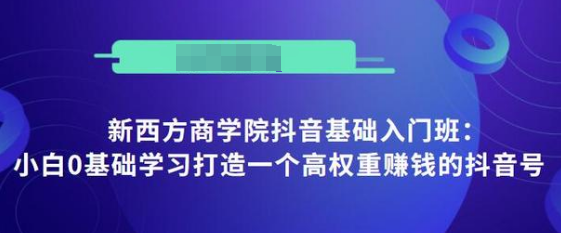 新西方商学院抖音基础入门班：小白0基础学习打造一个高权重赚钱的抖音号,课程,视频,教程,第1张