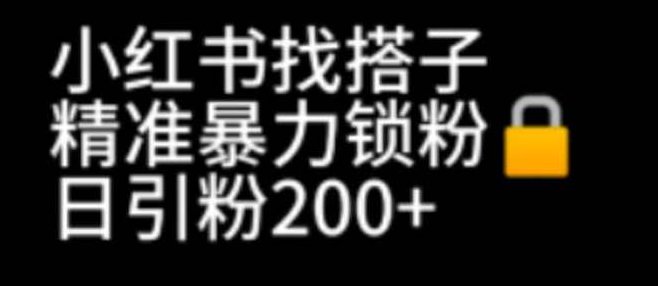 小红书找搭子暴力精准锁粉+引流日引200+精准粉,视频,创业,小红书,第1张