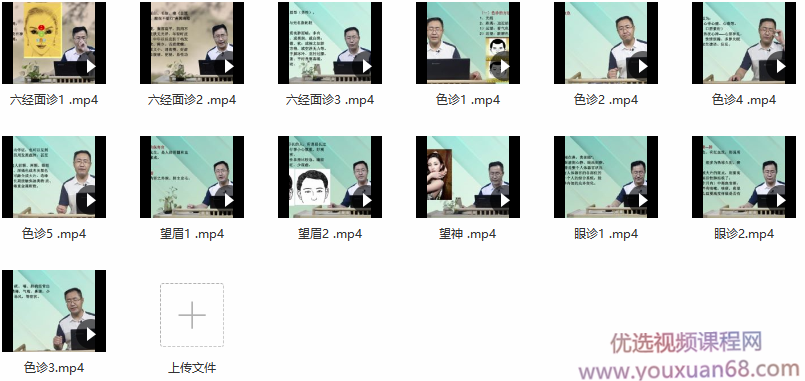 王涛中医面诊基础13集望诊色诊眼诊望眉六经面诊,课程,基础,13集,第2张 王涛中医面诊基础13集望诊色诊眼诊望眉六经面诊,课程,基础,13集,第2张
