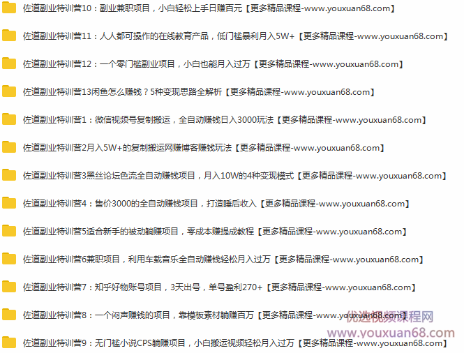 佐道副业特训营1-13,课程,视频,教程,第2张