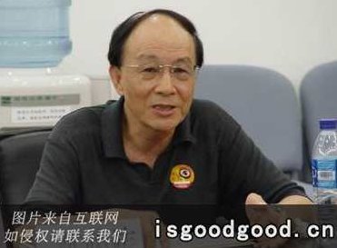 陈骏涛 中国近现代文学概说,研究,发展,文学,第1张