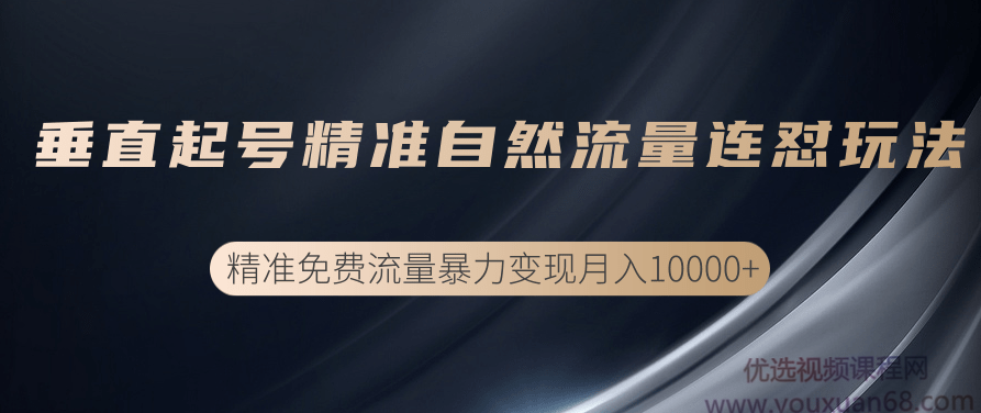 垂直起号精准自然流量连爆玩法，精准引流暴力变现月入10000+,课程,视频,教程,第1张
