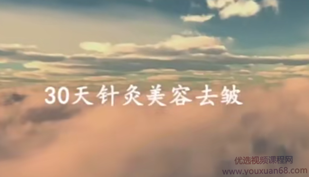 针灸美容美雕针面针,课程,第1张 针灸美容美雕针面针,课程,第1张