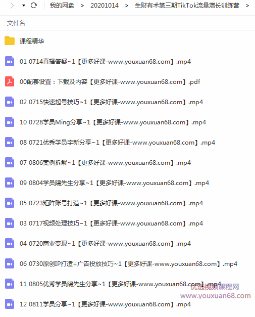 2020最新TIKTOK流量增长训练营（完结）附PPT,抖音,制作,训练营,第2张