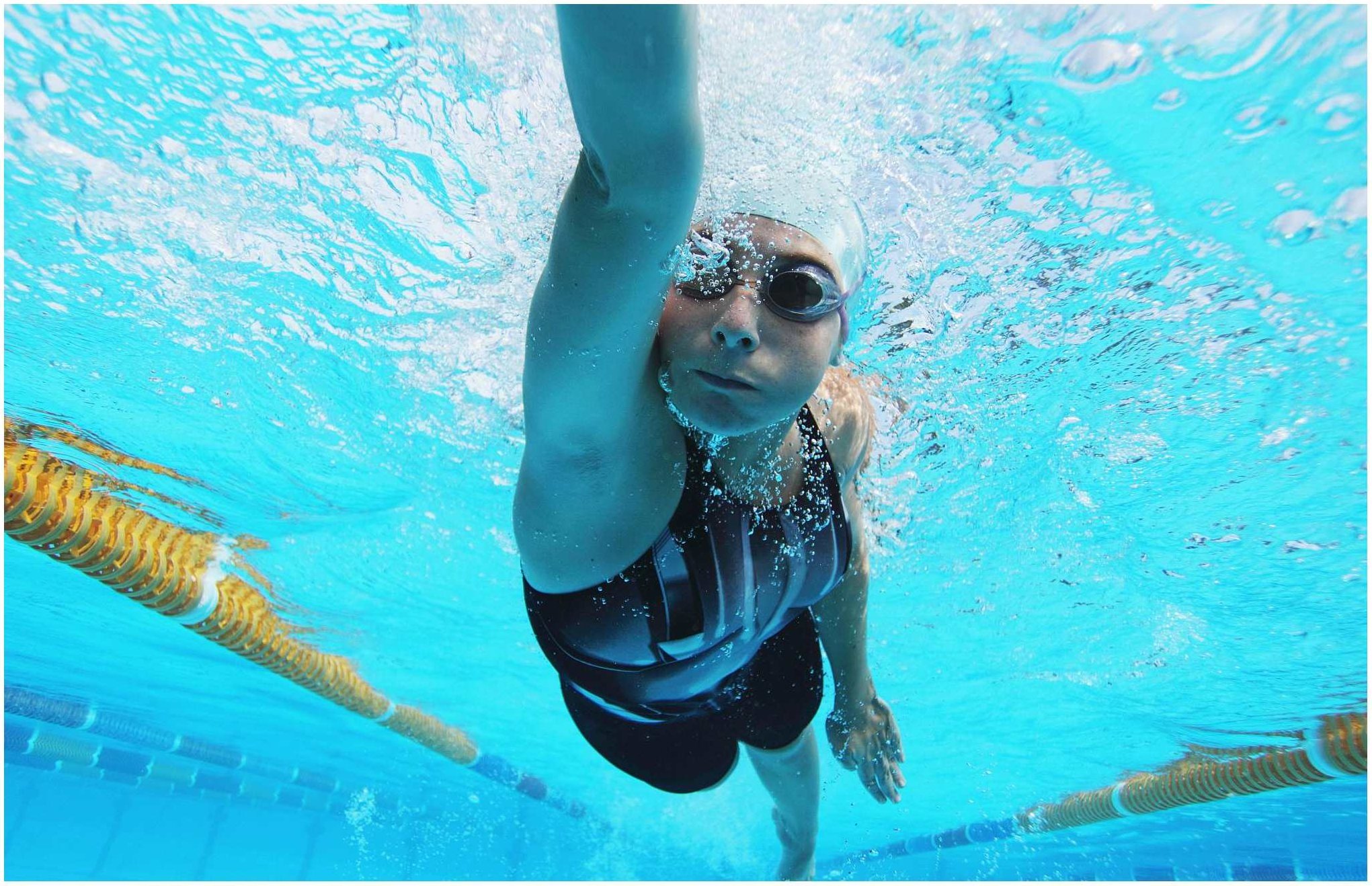 体育文化-《教练选择系列——基本自由泳技术》,教练选择,基本自由泳技术,体育文化教学,第1张