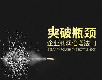 【突破瓶颈】企业利润倍增法门,课程,第1张