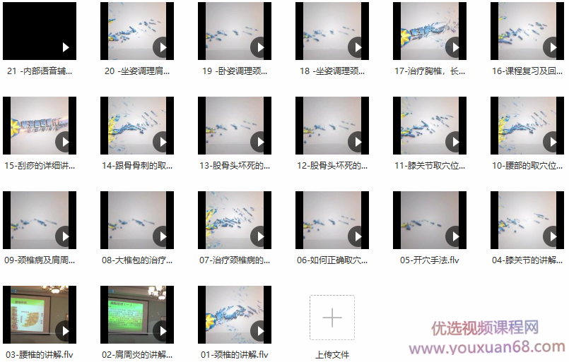 张氏祖传点穴正骨~张志良21课视频,课程,视频,讲解,第2张