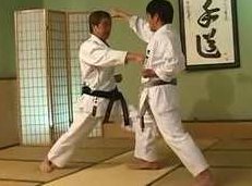 最强空手道大师全集教程_空手道实战教学,视频,教程,第1张 最强空手道大师全集教程_空手道实战教学,视频,教程,第1张