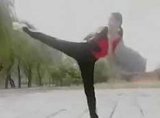 中国武术散打教程视频教学_武术自学教程,视频,教程,视频教程,第1张