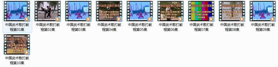 中国武术散打教程视频教学_武术自学教程,视频,教程,视频教程,第2张