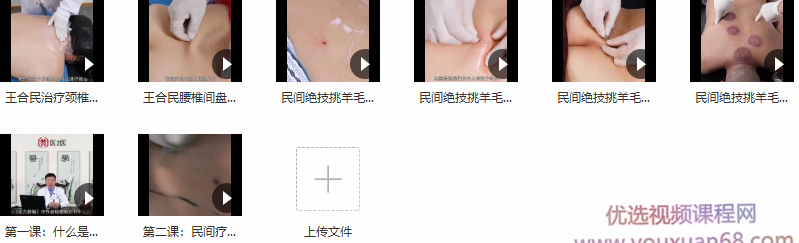 王合民民间绝技挑羊毛疔基础课,课程,基础,基础课,第2张