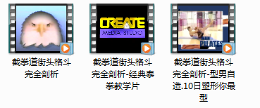 截拳道街头格斗完全剖析_实战之截拳道教学视频,视频,教程,视频教程,第2张