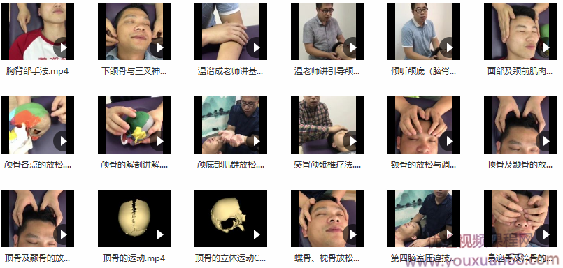 颅骶疗法2020在线网课34节手法实操高清干货演示送温普成颅骶手法,课程,高清,第1张