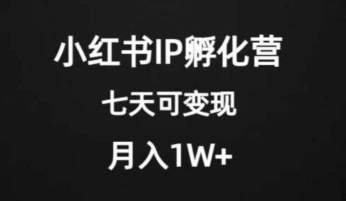 价值2000+的小红书IP孵化营项目，超级大蓝海，七天即可开始变现，稳定月入1W+,教程,抖音,第1张