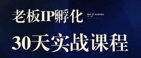 诸葛·2023老板IP实战课，实体同城引流获客，IP孵化必听,课程,视频,设计,第1张