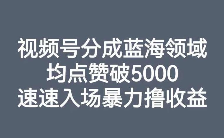 视频号分成蓝海领域，均点赞破5000，速速入场暴力撸收益,视频,赚钱,教学,第1张