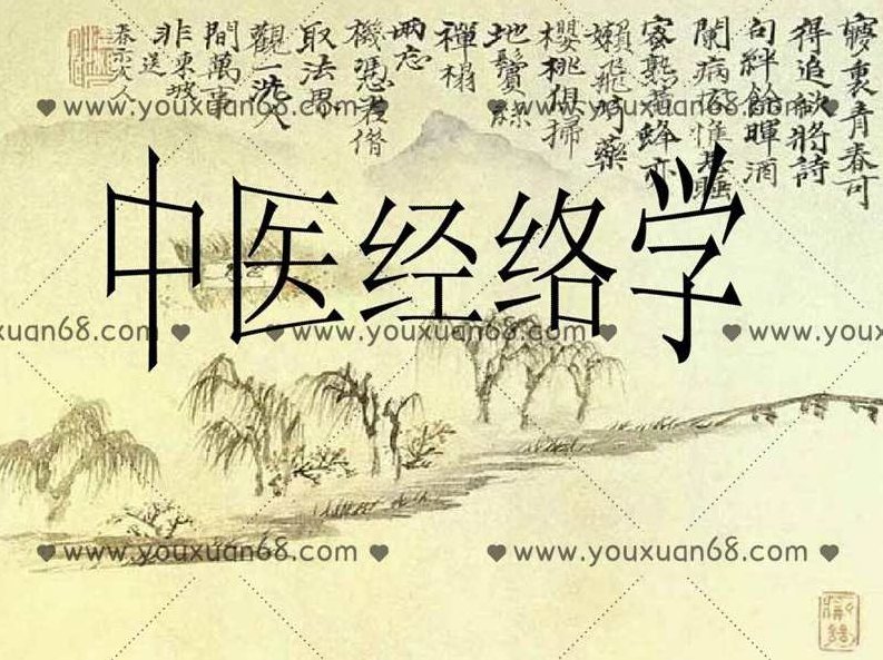 医承有道学堂 中医人必学的经络课 记住经络，找准穴位,课程,第1张