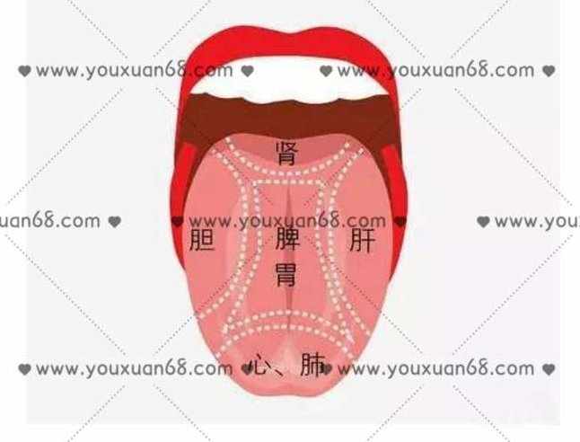 杨春虎保定舌诊录音,课程,录音,第1张 杨春虎保定舌诊录音,课程,录音,第1张