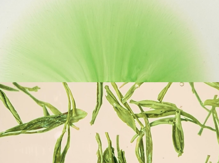 原版视频 精品毛家菜制作技术视频合集,视频,合集,第1张 原版视频 精品毛家菜制作技术视频合集,视频,合集,第1张