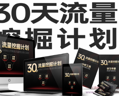 王六六-30天流量挖掘计划,课程,思维,策略,第1张