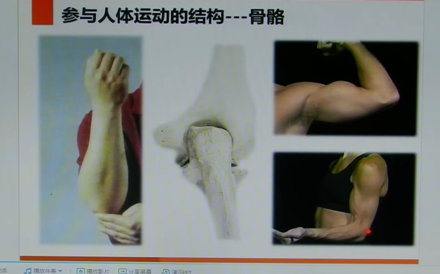 李'哲'讲《脊椎解剖》脊椎骨功能视频13集,课程,视频,13集,第1张