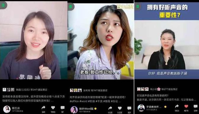 秋叶大叔4门课一站式搞定视频号运营+变现,课程,视频,研究,第2张