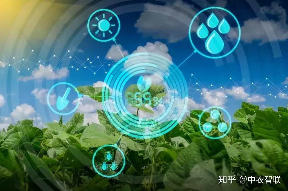 智慧农业 专题演讲智慧农业与生物经济,演讲,资料,掌握,第1张