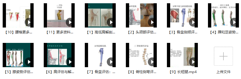 郑大解剖学人体姿势评估与解剖学分析（进阶）徐高磊,课程,评估,第2张