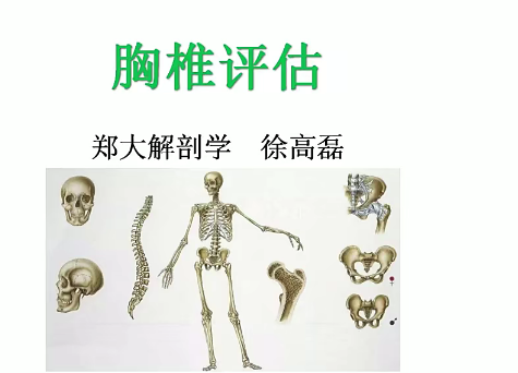 郑大解剖学人体姿势评估与解剖学分析（进阶）徐高磊,课程,评估,第1张