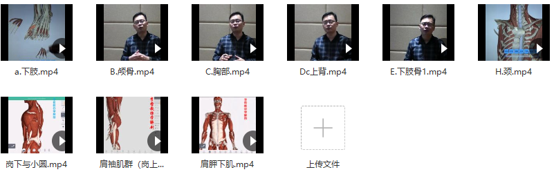 李哲教你学解剖视频9集,课程,视频,第2张