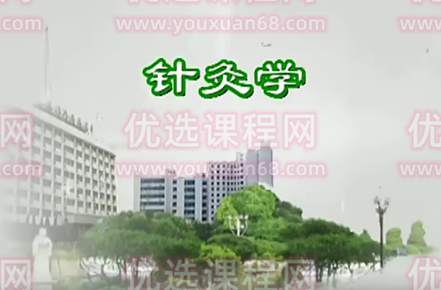 石学敏-针灸学 天津中医药大学 123讲,课程,第1张