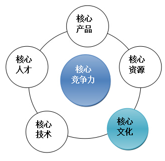 王璞 打造领袖企业的核心竞争力,专家,创业,培训,第1张