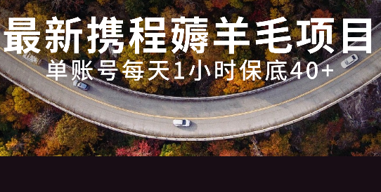 最新携程薅羊毛项目,单账号每天1小时保底收益40+,可矩阵操作,课程,视频,教程,第1张
