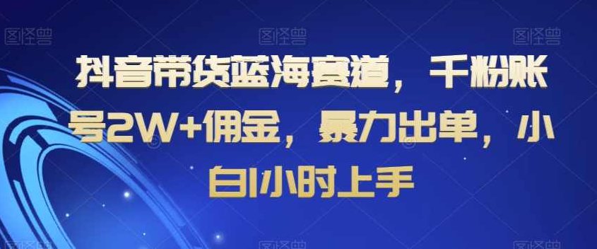 抖音带货蓝海赛道，千粉账号2W+佣金，暴力出单，小白1小时上手【揭秘】,视频,抖音,揭秘,第1张