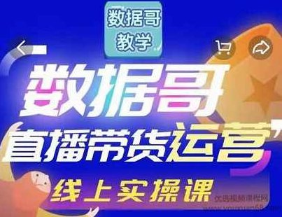 数据哥直播带货运营线上进阶课，让普通人也能靠直播赚钱,课程,赚钱,策略,第1张