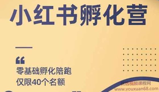 勇哥小红书撸金快速起量项目:教你如何快速起号获得曝光,做到月躺赚在3000+,制作,小红书,亲自测试,第1张 勇哥小红书撸金快速起量项目:教你如何快速起号获得曝光,做到月躺赚在3000+,制作,小红书,亲自测试,第1张