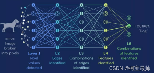 深度神经网络算法机器学习深度学系列视频教程,课程,视频,教程,第1张