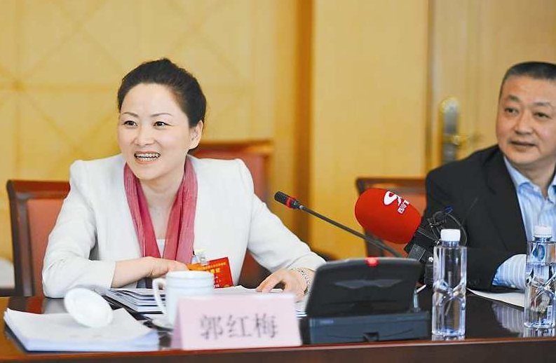 郭红梅 视觉文化中的性别与权力,研究,形象,影响力,第1张