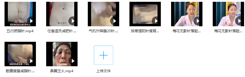 梅花无影针落脏辨证【秒瘦针绝技】,课程,减肥,绝技,第1张 梅花无影针落脏辨证【秒瘦针绝技】,课程,减肥,绝技,第1张