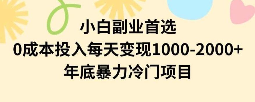 小白副业首选，0成本投入，每天变现1000-2000年底暴力冷门项目【揭秘】,揭秘,介绍,副业,第1张
