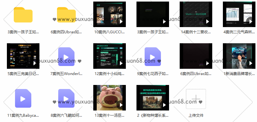 增长黑盒新消费品牌增长案例研究合集,课程,视频,第3张