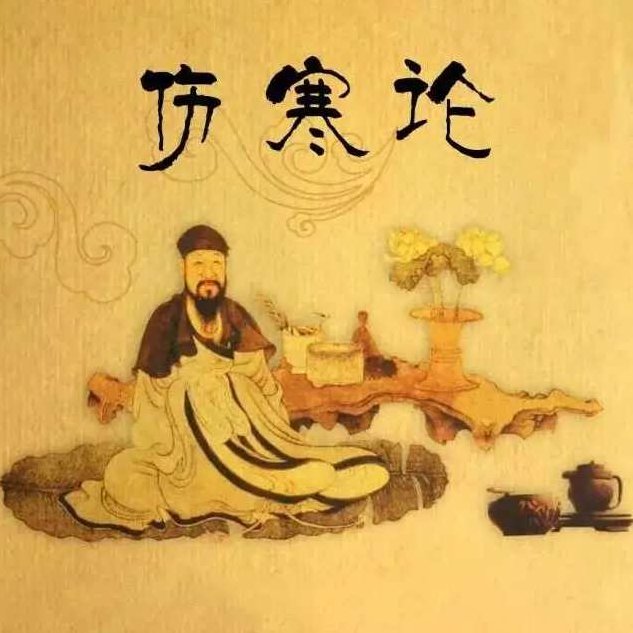 鲁法庭精简实战《伤寒论》音频课程20集,课程,第1张