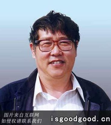 聂崇正 清代“臣字款”绘画与宫廷绘画全5集,研究,资料,介绍,第1张